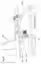 Fig. 09 - Supporting structure for shock absorber of suspension device of utility vehicle
