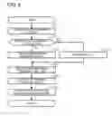Fig. 05 - VEHICLE BRAKING SYSTEM