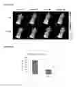 Fig. 06 - Carbonic anhydrase targeting agents and methods of using same