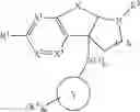 Fig. 06 - Heterocyclic sulfones as ROR gamma modulators