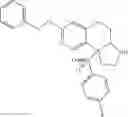 Fig. 43 - Heterocyclic sulfones as ROR gamma modulators
