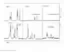 Fig. 07 - Purine nucleotide derivatives