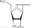Fig. 22 - Purine nucleotide derivatives