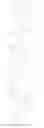 Fig. 35 - Purine nucleotide derivatives
