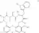 Fig. 02 - Peptide macrocycles against 