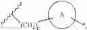 Fig. 06 - Peptide macrocycles against 