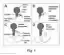 Fig. 02 - Modified flavivirus envelope sequences comprising unique glycosylation sites