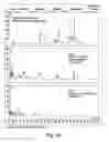 Fig. 07 - Modified flavivirus envelope sequences comprising unique glycosylation sites