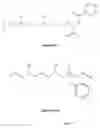 Fig. 02 - Correctly folded etanercept in high purity and excellent yield