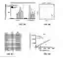 Fig. 08 - Methods and compositions for producing stem cell derived dopaminergic cells for use in treatment of neurodegenerative diseases