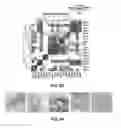 Fig. 10 - Methods and compositions for producing stem cell derived dopaminergic cells for use in treatment of neurodegenerative diseases