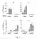 Fig. 16 - Methods and compositions for producing stem cell derived dopaminergic cells for use in treatment of neurodegenerative diseases