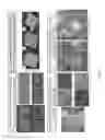 Fig. 07 - Innervated Artificial Intestine Compositions