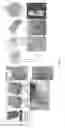 Fig. 09 - Innervated Artificial Intestine Compositions