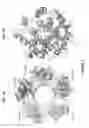 Fig. 02 - MUTANT POLYPEPTIDES AND USES THEREOF