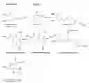 Fig. 01 - CONSTRUCTS AND METHODS FOR BIOSYNTHESIS OF GALANTHAMINE