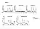 Fig. 04 - Stable pseudotyped lentiviral particles and uses thereof