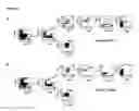 Fig. 09 - Stable pseudotyped lentiviral particles and uses thereof