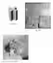 Fig. 11 - Electrochemical layer deposition by controllable anode array