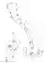 Fig. 05 - Arrangement structure of exhaust gas sensor