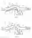 Fig. 04 - Adaptive-area inertial particle separators
