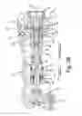 Fig. 06 - Self-lubricating pump throat seal