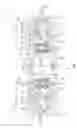 Fig. 03 - Integral torque limiter differential