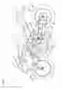 Fig. 02 - Sensor mounting structure for engine