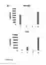 Fig. 07 - Methods for affinity-based non-antibody capture and purification of extracellular vesicles