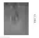 Fig. 18 - Apparatuses, systems and methods for imaging flow cytometry