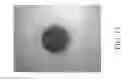 Fig. 20 - Apparatuses, systems and methods for imaging flow cytometry