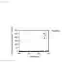 Fig. 07 - Reaction system and reaction method