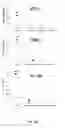 Fig. 03 - MATERIAL AND METHODS FOR DIAGNOSING AND TREATING KAWASAKI DISEASE AND KLS
