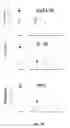 Fig. 04 - MATERIAL AND METHODS FOR DIAGNOSING AND TREATING KAWASAKI DISEASE AND KLS