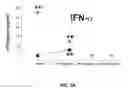 Fig. 05 - MATERIAL AND METHODS FOR DIAGNOSING AND TREATING KAWASAKI DISEASE AND KLS