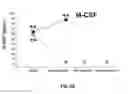 Fig. 06 - MATERIAL AND METHODS FOR DIAGNOSING AND TREATING KAWASAKI DISEASE AND KLS