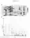 Fig. 02 - Universal kinase substrates and methods of use thereof