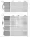 Fig. 03 - Assessing and treating cancer