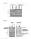 Fig. 09 - Assessing and treating cancer