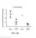 Fig. 76 - FARBER DISEASE MARKERS AND USES THEREOF