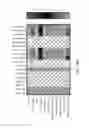 Fig. 80 - FARBER DISEASE MARKERS AND USES THEREOF