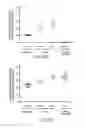 Fig. 87 - FARBER DISEASE MARKERS AND USES THEREOF