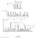 Fig. 09 - Spatially self-similar patterned illumination for depth imaging