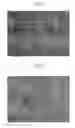 Fig. 02 - Scintillator array, method of manufacturing scintillator array, radiation detector, and radiation inspection device