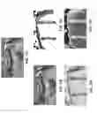 Fig. 08 - Systems and methods for using probabilities of lithologies in an inversion