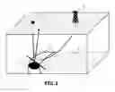 Fig. 02 - Method for improving seismic acquisitions utilising active ultralight seismic detection systems