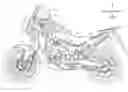 Fig. 01 - Saddle-type vehicle