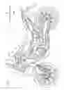 Fig. 02 - Saddle-type vehicle
