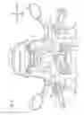 Fig. 09 - Saddle-type vehicle