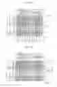 Fig. 09 - Liquid crystal display device